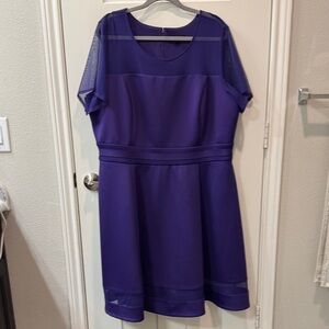 Elegant Purple Dress